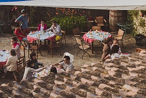 CASA ARANA