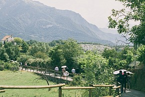CASA ARANA
