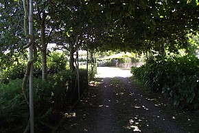 CASA DA LAXE