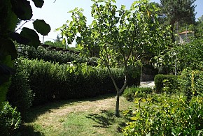 CASA DA LAXE