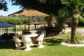 CASA DE CACHEIRO