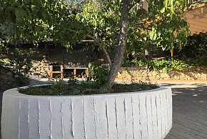 CASA DE LOS ÁLAMOS