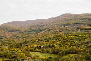 CASA LA SEGUIRILLA