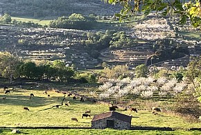 CASA LA SEGUIRILLA