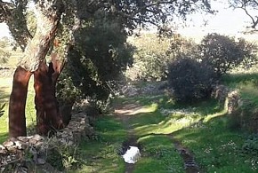 CASA LOREN