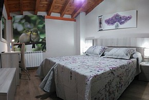 CASA RURAL ACEBARILLO