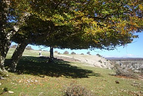 CASA RURAL BELASTEGUI