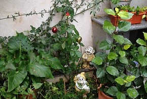 CASA RURAL DOS HERMANAS