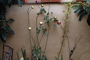 CASA RURAL DOS HERMANAS