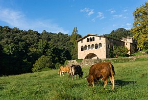 CASA RURAL EL CALLÍS