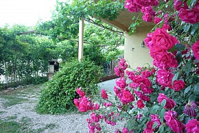 CASA RURAL EL MOLINO DE ALOCÉN