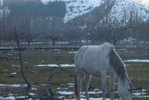 CASA RURAL EL NACIMIENTO