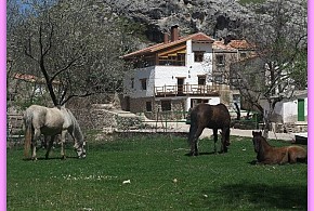 CASA RURAL EL NACIMIENTO