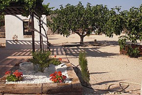 CASA RURAL EL OLIVAR DE LAS PEPINAS