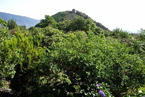 CASA RURAL FELIPE LUGO