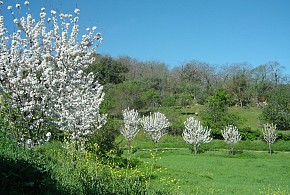 CASA RURAL FINCA EL TORNERO