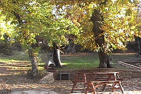 CASA RURAL FINCA EL TORNERO