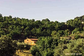 CASA RURAL FINCA EL TORNERO