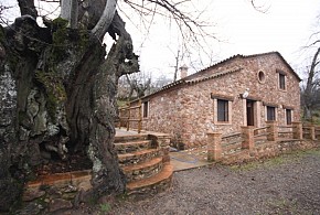 CASA RURAL FINCA EL TORNERO