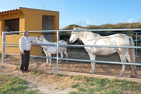 CASA RURAL FINCA LIARTE