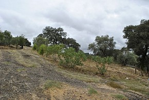 CASA RURAL FUENTE DEL VENERO