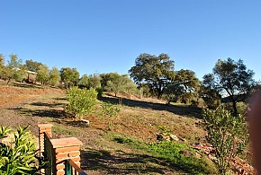 CASA RURAL FUENTE DEL VENERO