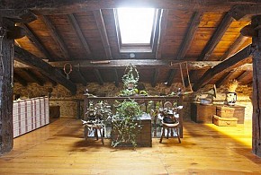 CASA RURAL IZARRE