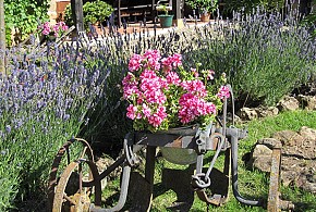 CASA RURAL LA CASA DE LUCIA