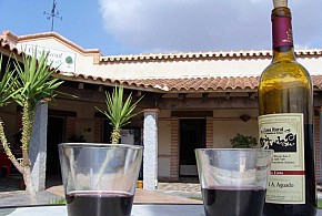 CASA RURAL LA DEHESILLA DE MELQUE