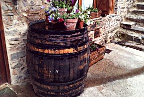 CASA RURAL LA RUDA