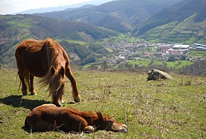 CASA RURAL LIZARTZANEA
