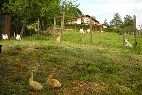 CASA RURAL LIZARTZANEA