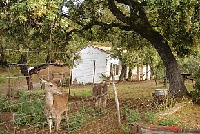 CASA RURAL LOS BOGANTES