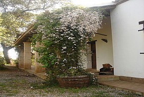CASA RURAL LOS BOGANTES