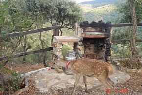 CASA RURAL LOS BOGANTES