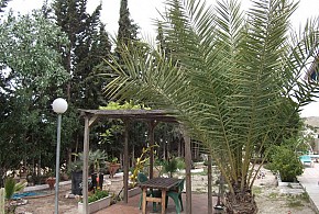 CASA RURAL MI CAMPO