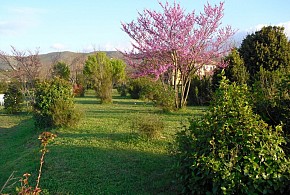 CASA RURAL MORERA
