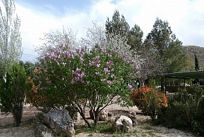 CASA RURAL VUELTA DEL CARRIL