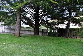CASA TURA