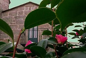 CASA UMA