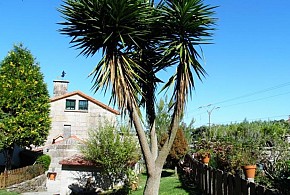 CASA VIDEIRA TURISMO RURAL