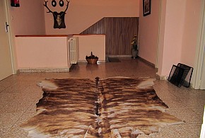 CASAS RURALES DE LUBIA