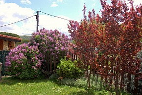CASAS RURALES FAUNA