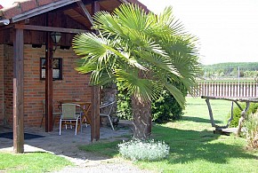 CASAS RURALES FAUNA