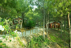 CASAS RURALES LA NAVELA