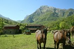CASAS RURALES VALLE DE BUEIDA