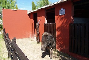 CASERIO DE LA FUENTE