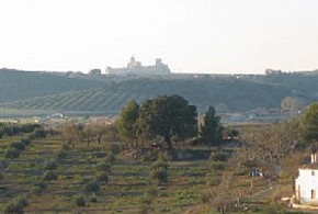CORTIJO EL CIEGO