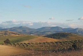 CORTIJO EL CIEGO
