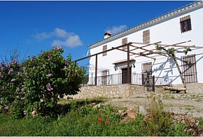CORTIJO LOS PETRONILOS